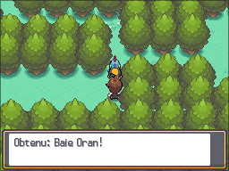 Route 36 Baie Oran HGSS.png