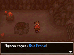 Fichier:Mont Renenvers Baie Fraive 2 Bl2.png