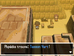 Fichier:Route 4 Tesson Vert B2.png