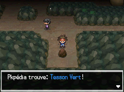 Fichier:Chemin Enfoui Tesson Vert N2B2.png