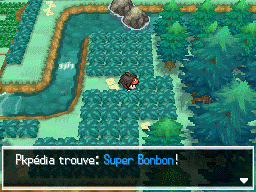 Fichier:Bois des Illusions Super Bonbon N2B2.png