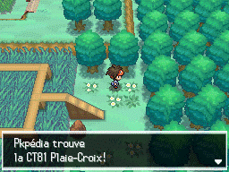 Fichier:Route 7 CT81 N2B2.png