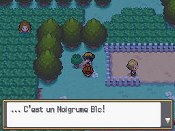 Cap ecran noigrume blc route 38 hgss.png