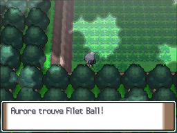 Forêt Vestigion Filet Ball Pt.png