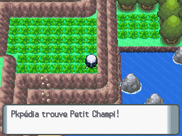 Fichier:Chenal 226 Petit Champi 2 DP.png