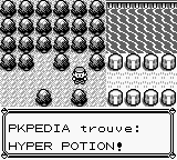 Route 12 Hyper Potion RB.png