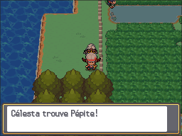 Fichier:Route 34 Pépite HGSS.png