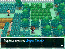 Fichier:Route 9 Joyau Ténèbr N2B2.png