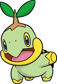 Tortipouss (4)-CA.png