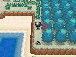 Objet Route 1 (Unys) Gros Champi NB.png