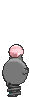 Fichier:Sprite 0325 dos XY.png
