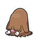 Cochignon