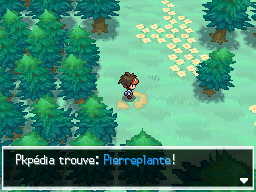 Fichier:Bois des Illusions Pierreplante N2B2.png