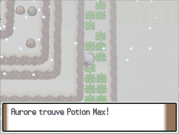 Mont Couronné Potion Max Pt.png