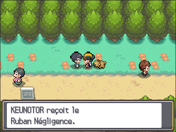 Route 36 Ruban Négligence HGSS.png