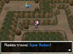 Grotte Parsemille Super Bonbon NB.png