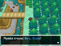 Fichier:Route 23 Morc. Étoile 2 N2B2.png