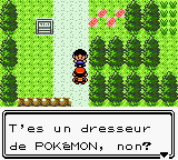 Fichier:Route 30 Gamin Marin OA.png