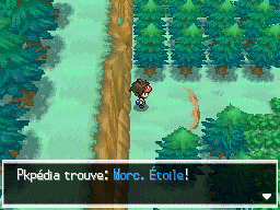 Fichier:Route 23 Morc. Étoile 1 N2B2.png