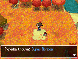 Fichier:Route 20 Super Bonbon N2B2.png