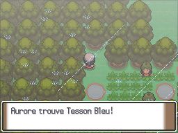 Route 212 Tesson Bleu Pt.png