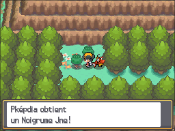 Route 46 Noigrume Jaune HGSS.png