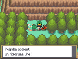 Fichier:Route 46 Noigrume Jaune HGSS.png