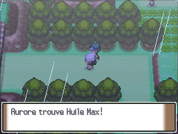 Route 215 Huile Max Pt.png