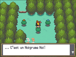 Fichier:Route 36 Noigrume Noir HGSS.png
