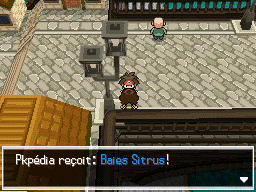 Fichier:Pont du Hameau Baies Sitrus N2B2.png