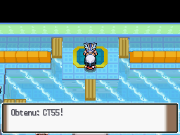 Fichier:Arène de Verchamps CT55 Pt.png
