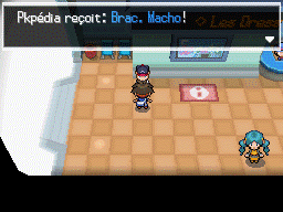 Fichier:Méanville Brac. Macho N2B2.png