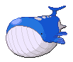 Wailord (sauvages)