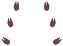Empreintes 0193 DEPS.png