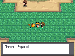 Parc Naturel Pépite HGSS.png