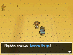 Fichier:Désert Délassant Tesson Rouge 2 N2B2.png