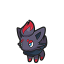 Zorua