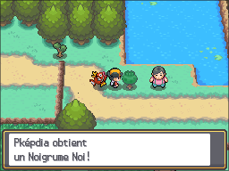 Fichier:Route 31 Noigrume Noir HGSS.png