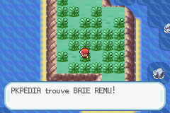 Mémorial Baie Remu RFVF.png