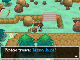 Fichier:Route 23 Tesson Jaune N2B2.png