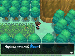 Fichier:Route 7 Élixir N2B2.png