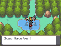 Fichier:Route 34 Herbe Pouvoir HGSS.png