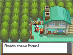 Fichier:Bourg Geon Potion Cachée HGSS.png