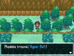 Fichier:Route 23 Hyper Ball N2B2.png