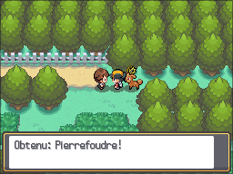 Route 38 Pierrefoudre HGSS.png