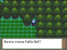 Route 210 Faiblo Ball Pt.png