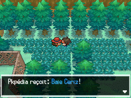 Fichier:Route 5 Baie Ceriz N2B2.png