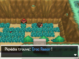 Fichier:Route 11 Croc Rasoir N2B2.png