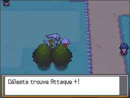 Route 39 Attaque + HGSS.png