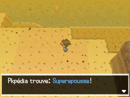 Fichier:Désert Délassant Superepousse N2B2.png